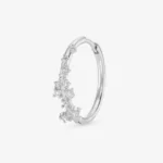 Grande Arctique
